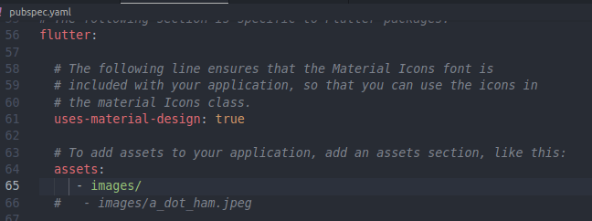 setting the assets in the pubspec.yaml file
