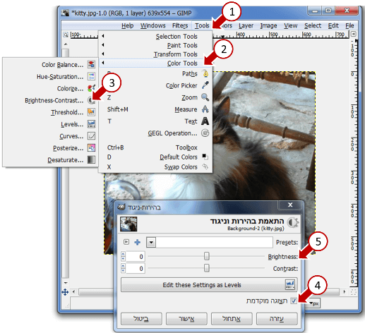 Image manipulation brightness and contrast with gimp