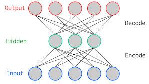 מבנה של רשת נוירונית autoencoder