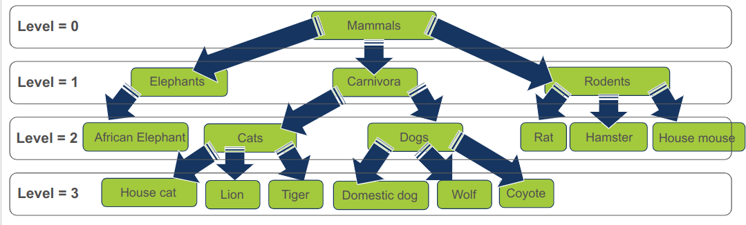 General Tree data structure עץ נתונים 