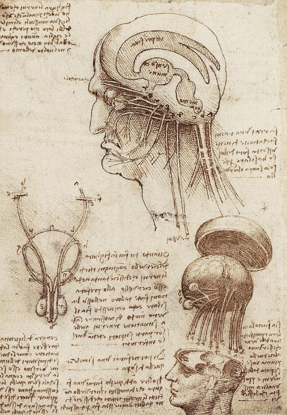 A page from one of Da Vinci's notebooks