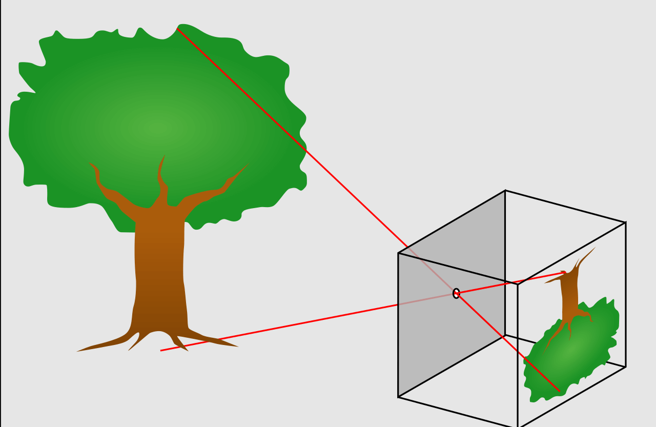 Camera Obscura effect as depicted in Wikipedia