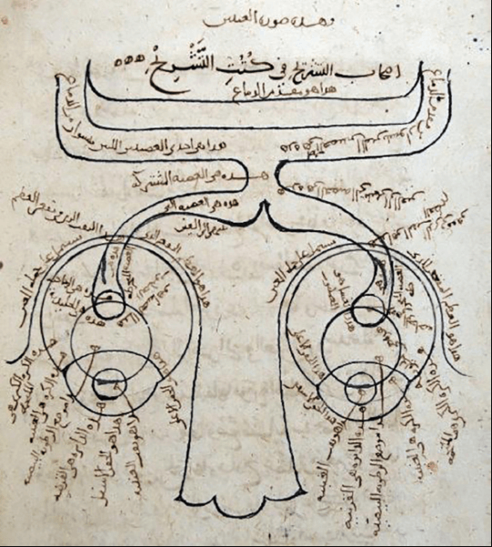 Ibn al Haytham  Opticae page book source: Wikipedia